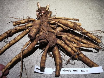 IMG_20251113_205333_result