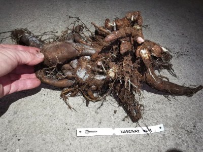 IMG_20251116_211850_result