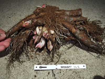 IMG_20251116_211957_result