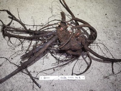 IMG_20251205_211100_result