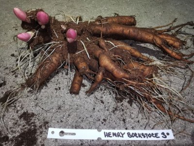 IMG_20260311_184550_result7